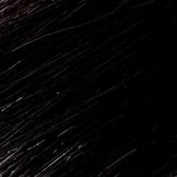 Collection of Virgin-Genius Weft Extensions(18"-20") in a gallery layout