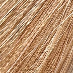 Collection of Remy-One Piece Clip Ins(18"-20") in a gallery layout