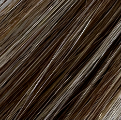 Collection of Remy-Flat Tips(14"-16") in a gallery layout